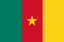 Cameroon flag