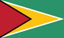Guyana flag