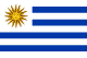 US flag
