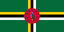 DM flag